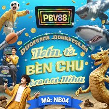 55qq